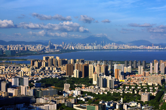 深圳湾滨海城市风光