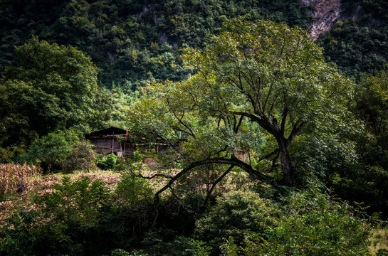 怒江两岸风光