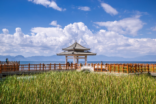 云南抚仙湖湿地栈道