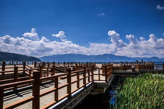 云南抚仙湖湿地栈道