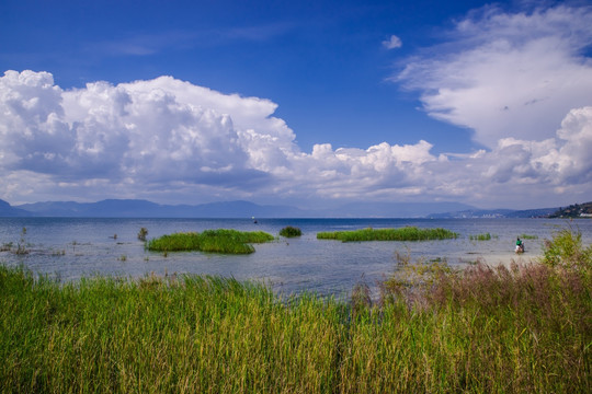 抚仙湖风光