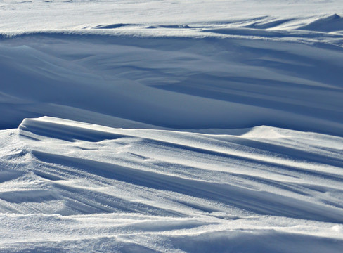 雪地