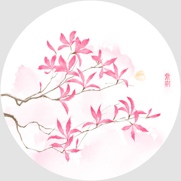 水彩紫荊花
