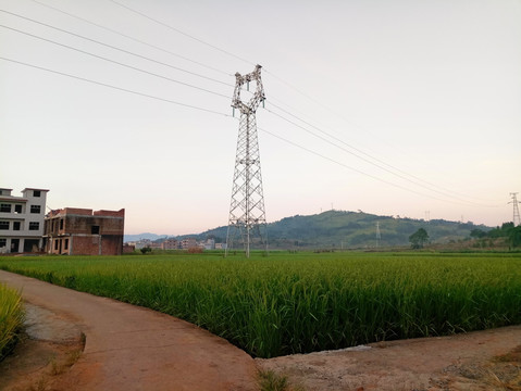 乡村风景