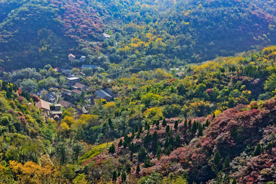 山中古村落