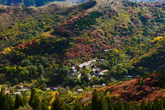 大山深处古村落