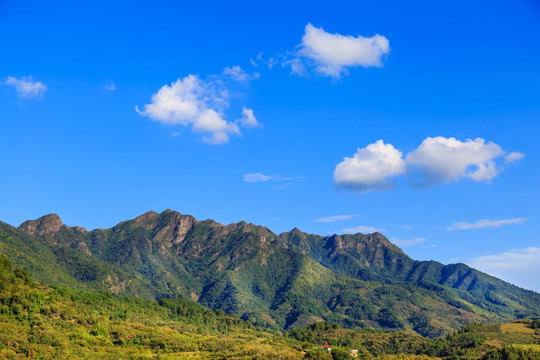 莲花山