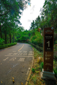 惠州红花湖绿道