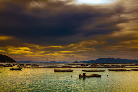 生蚝 海蛎子 海带 鲍鱼养殖场