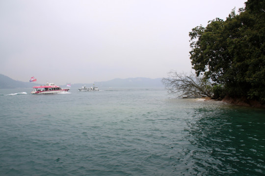 湖面荡舟  湖上游船