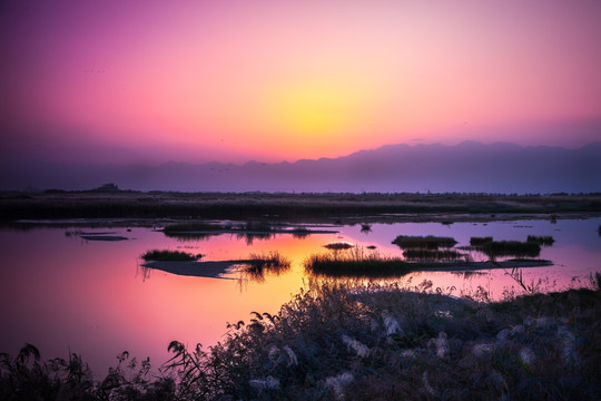 沙湖晨曦