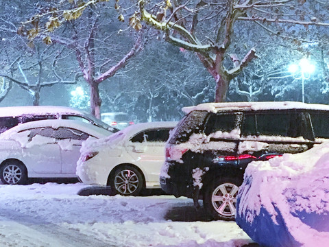 雪中夜景