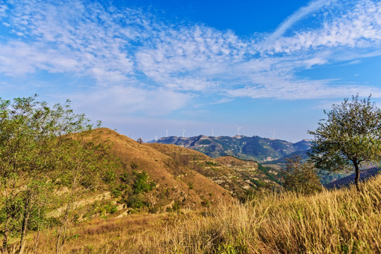 高山山巅