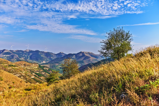 高山山巅