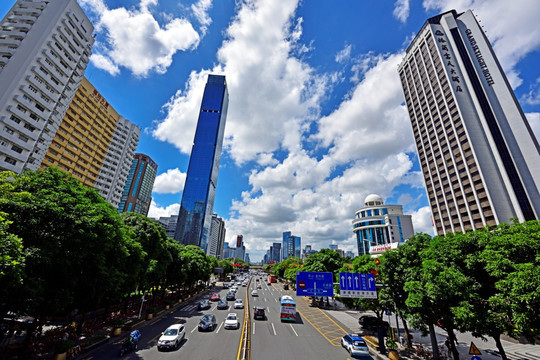 深圳 深圳全景 深圳城市剪影