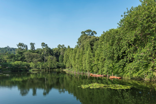 广州麓湖公园