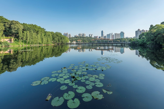 广州麓湖公园