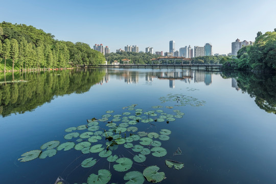 广州 麓湖公园