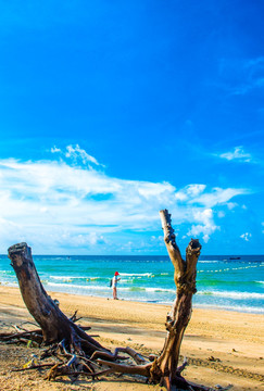 沙滩 海景 海边 女孩