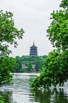 西湖 雷峰塔 杭州西湖