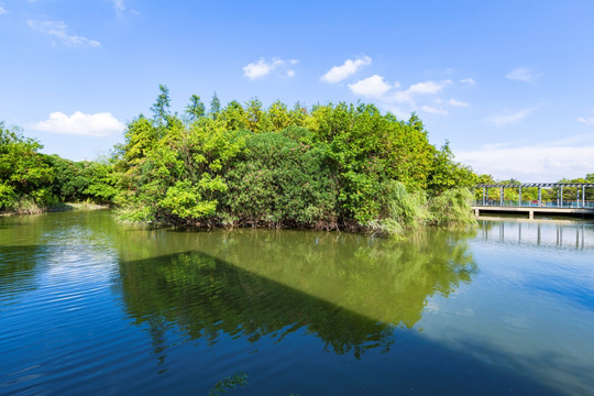 上海 吴淞炮台湾 国家湿地公园