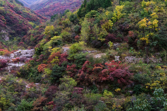 山谷秋色