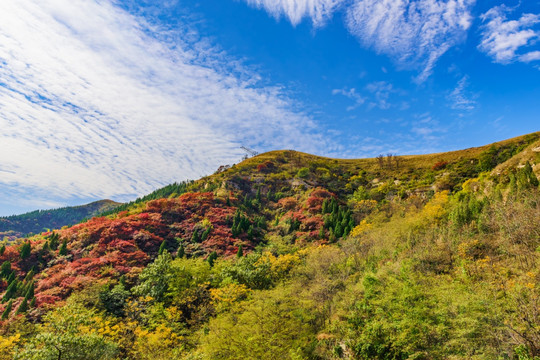 山林秋色