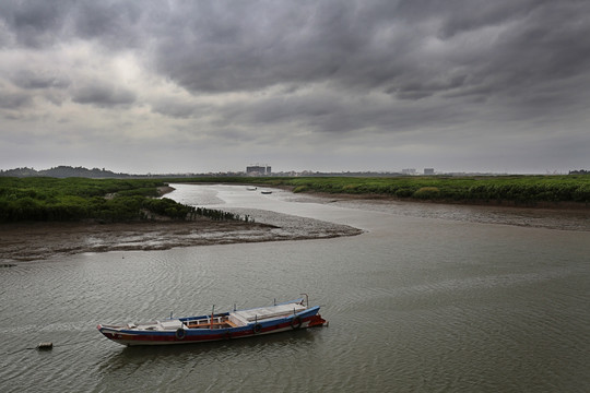 泉州湾河口湿地