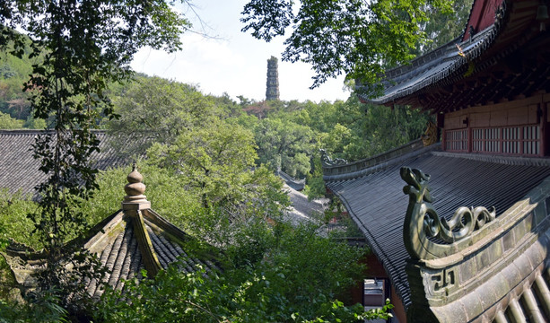 绿植掩映的国清寺建筑