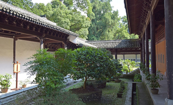 寺院建筑和绿植盆景