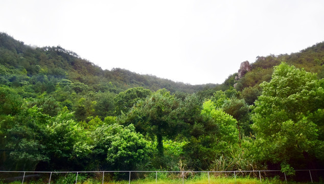 绿意葱葱的山岭