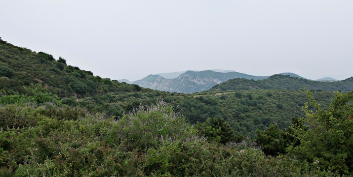 绿色的山坡和层叠的山脉