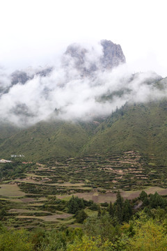 高山