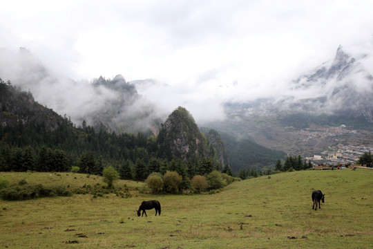 藏区山景