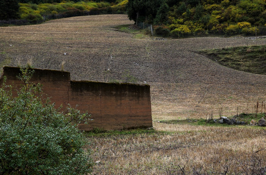 藏乡风景