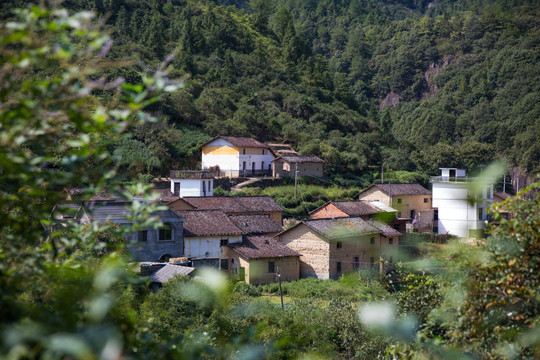 松阳 建筑群