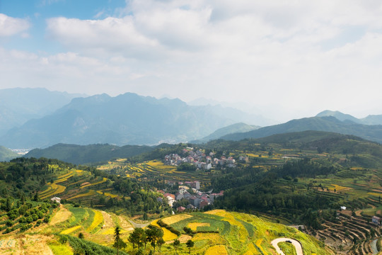 茗岙梯田