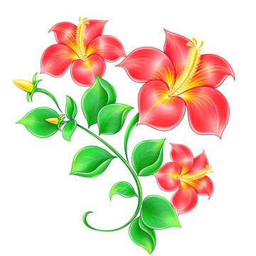 綠葉與紅花