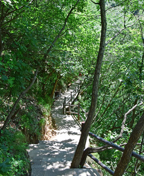 重渡沟林荫步道景观