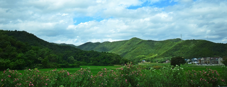 稻田和远山风景图