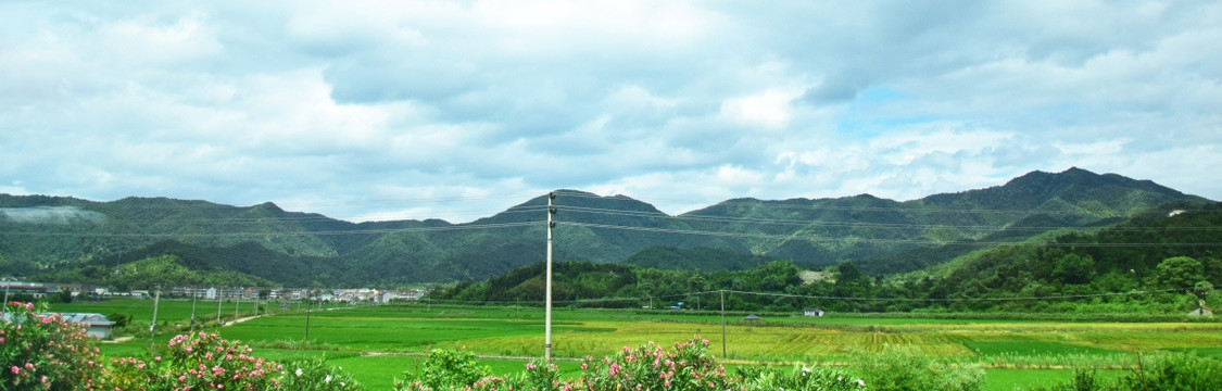 夏季原野风景摄影