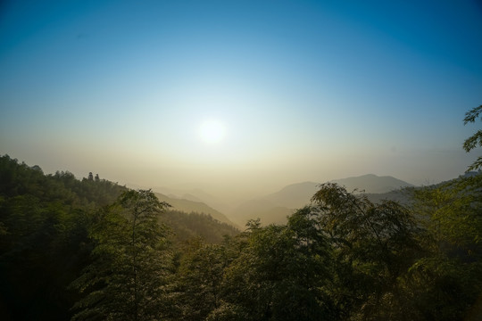 莫干山竹林日出