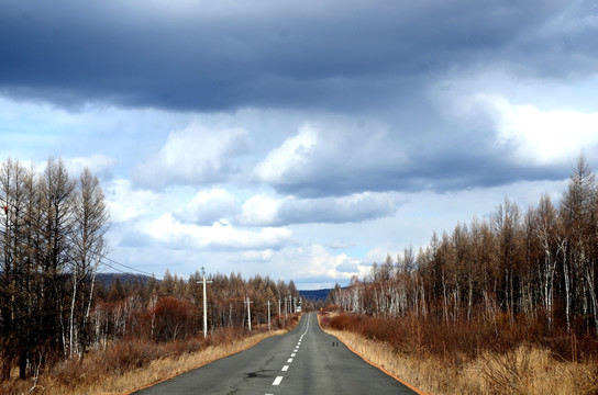 森林公路