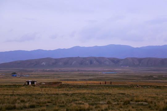 草原 草地 牧场 远山 高原