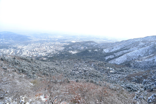 香山全景