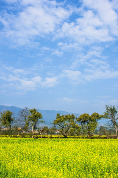 田园风光