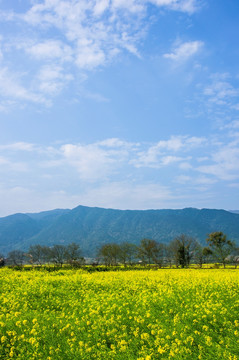 田园风光