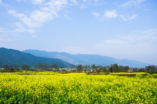 田园风光