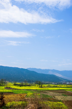 田园风光