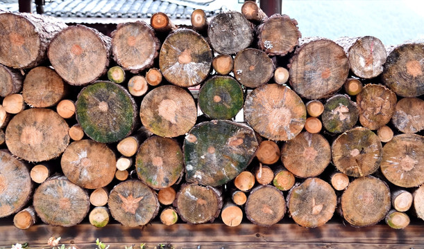 木板 木头 木材 木